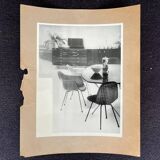 Original photo of furniture / dining chairs by Herman Miller, 1953
