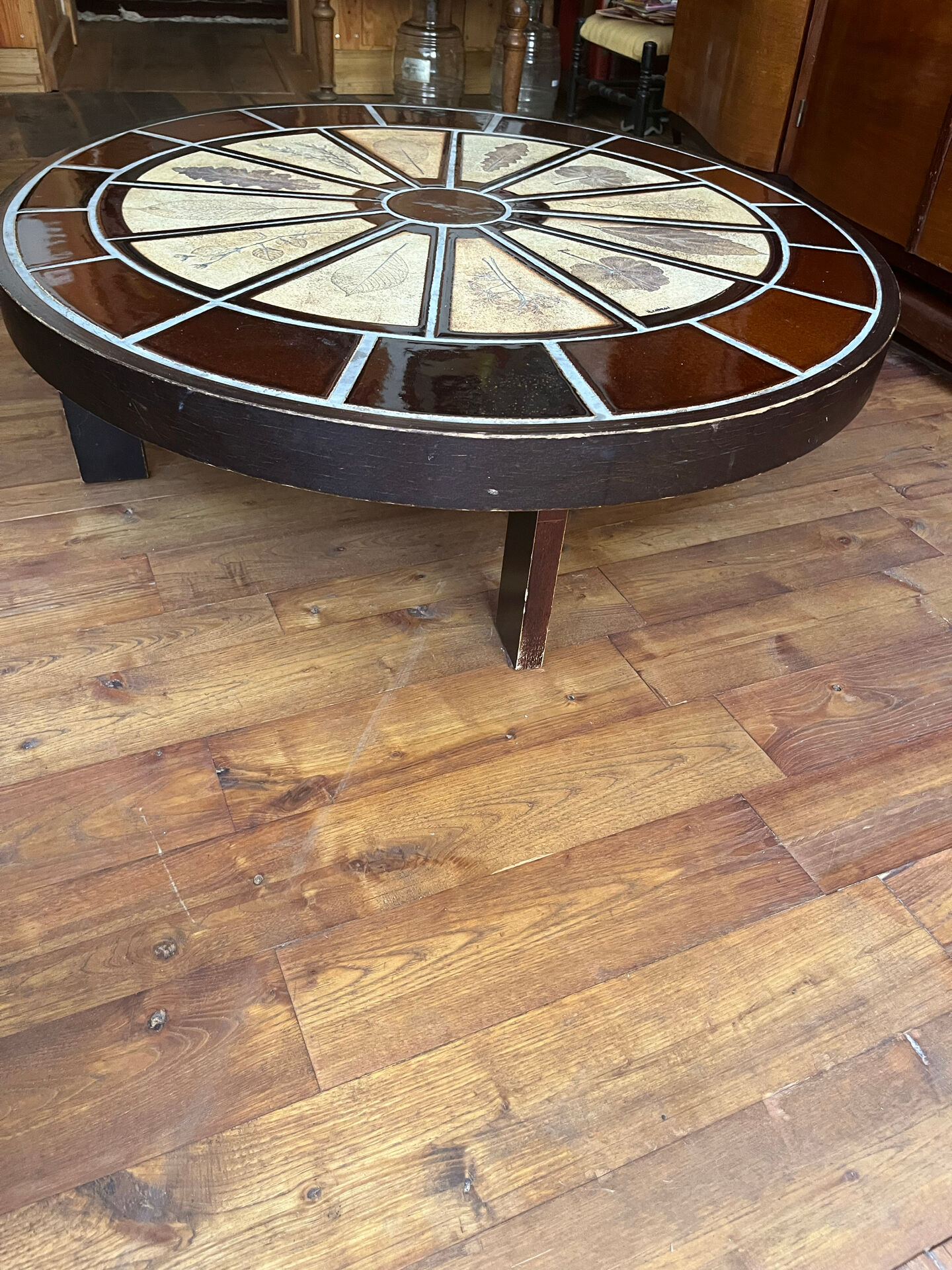 Herbarium coffee table Roger Capron