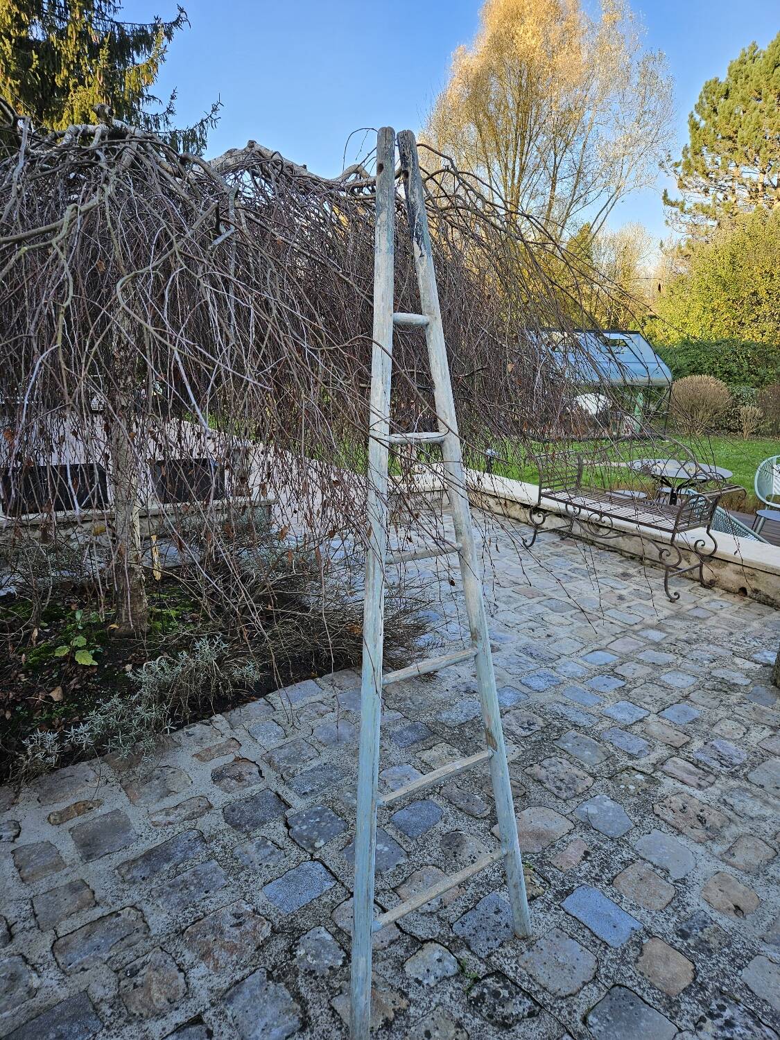 Wooden picking ladder