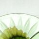 J1N Huta Ząbkowice green plate in Art Nouveau style