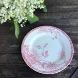 Assiettes à dessert « Turenne » de Creil et Montereau