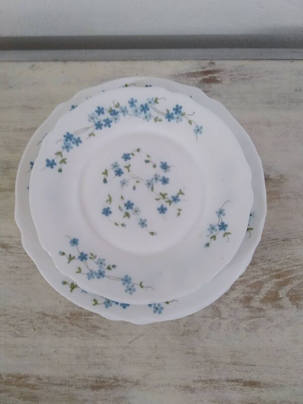 Service de table arcopal modèle Veronica