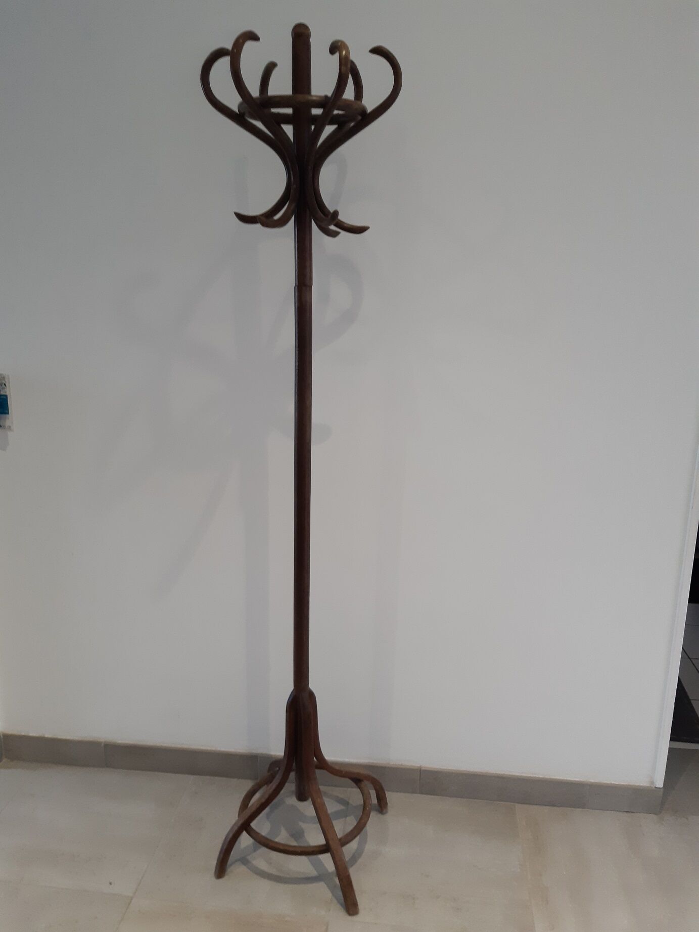 Old parrot coat rack