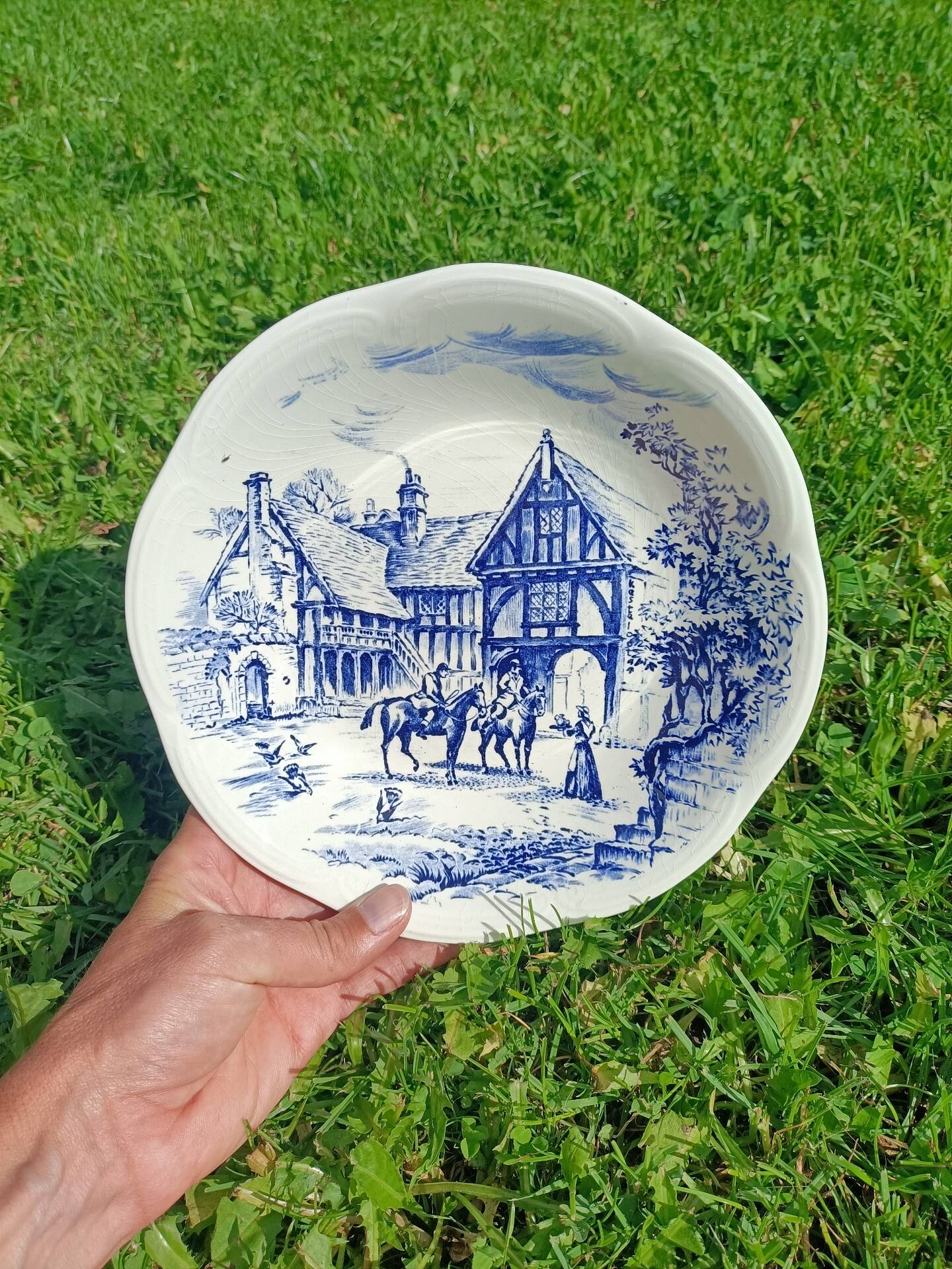 Plat ~ gien