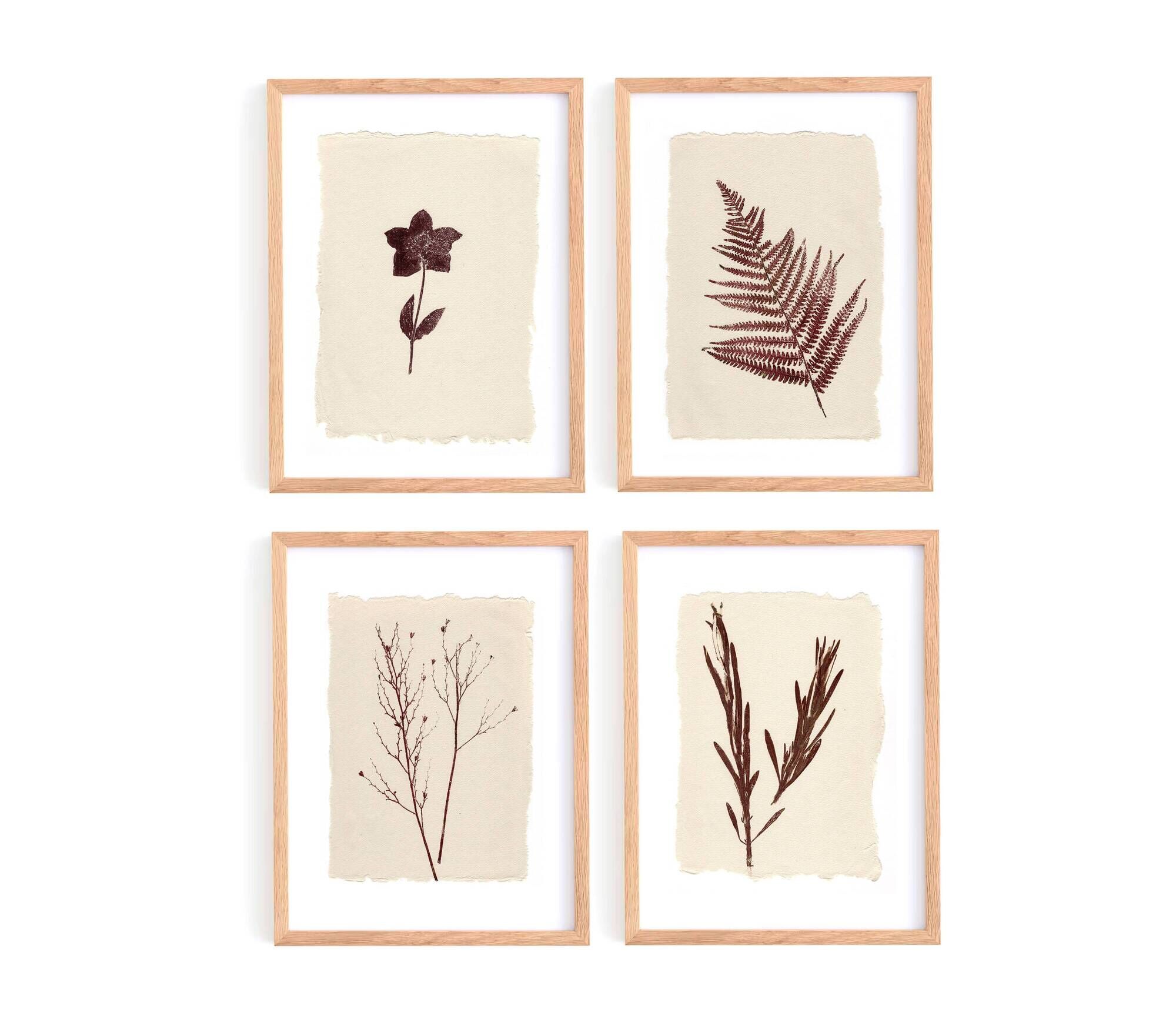 Collection of 4 herbarium paper paintings signed Eawy.