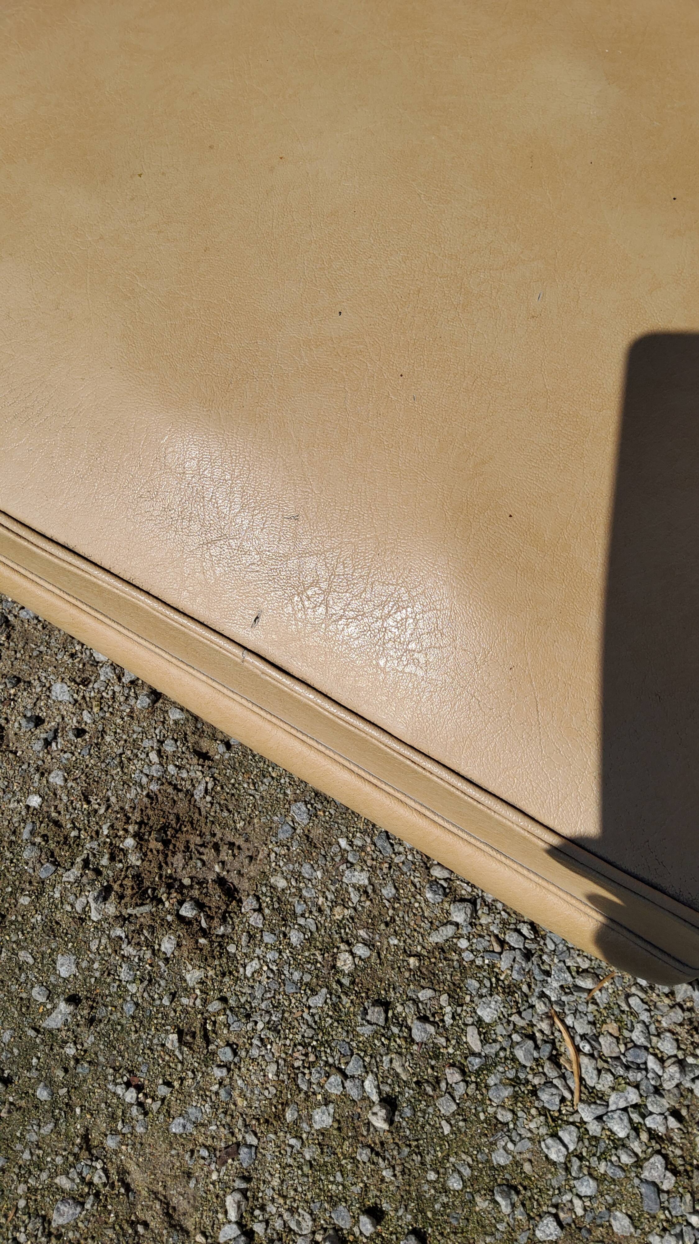 Office armchair from the 50s in beech tinted sycamore and moleskine