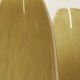 Pair of glass vases in the shape of shells