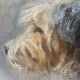 Painting pastel dog "Portrait of Cairn terrier" and frame