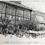 Nicole Bouharmont, Serres et jardin des plantes. pointe sèche signée au crayon
