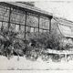 Nicole BOUHARMONT, Greenhouses and Botanical Gardens. Drypoint signed in chalk