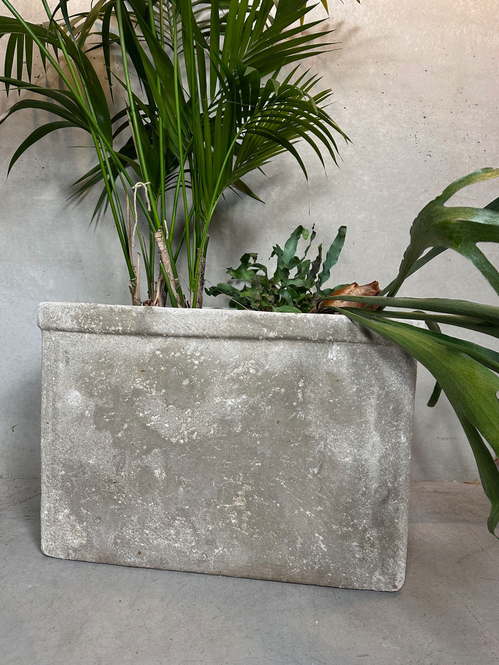 XL planter – Willy Guhl – Switzerland