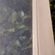 Communication door 1 translucent glass H233.5xL84.5cm old 20th century