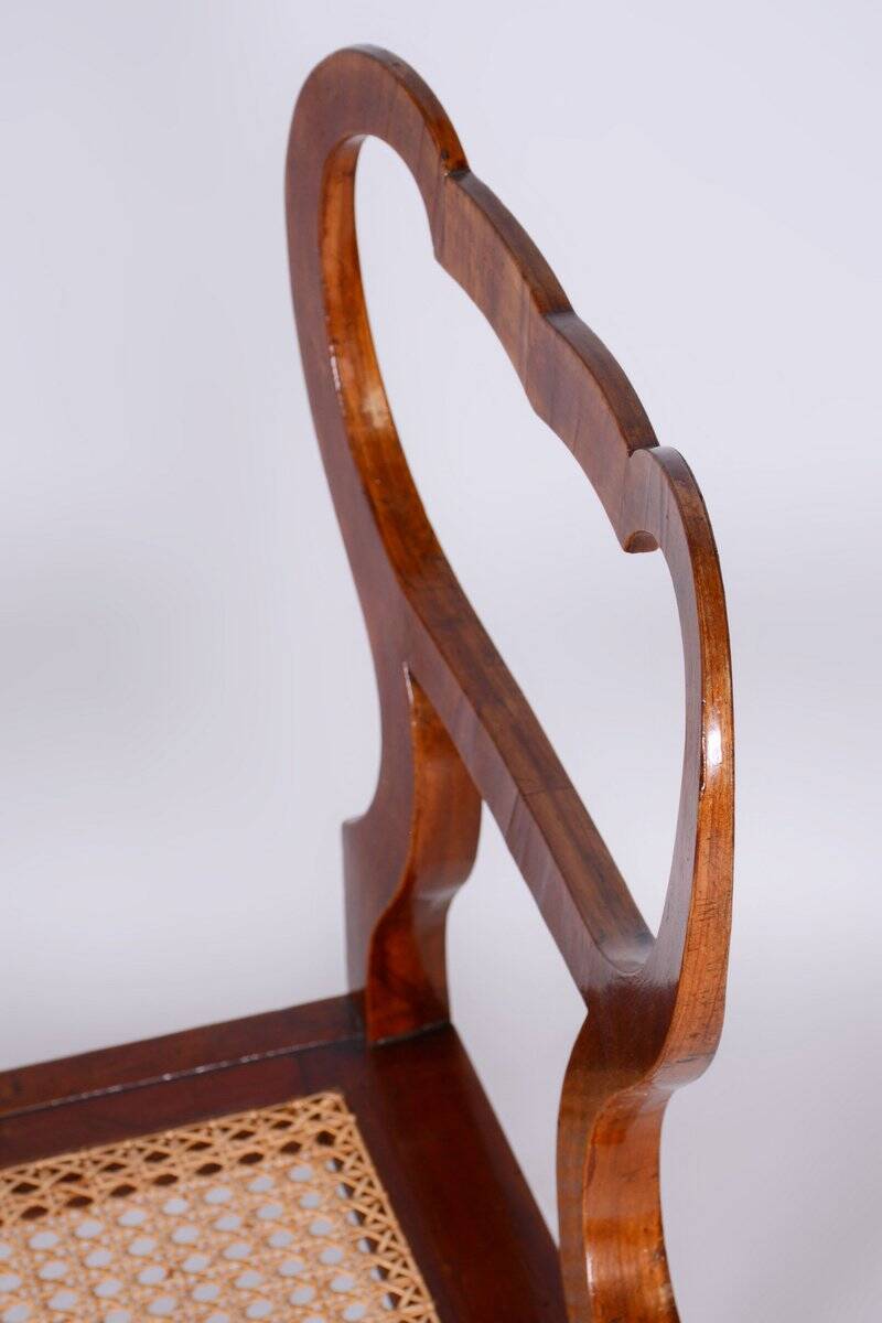 Biedermeier Polish Chair in Walnut Vener & Rattan, Austria, 1830s