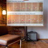 "Sports" published by Paul Sappl Austria 1968 poster