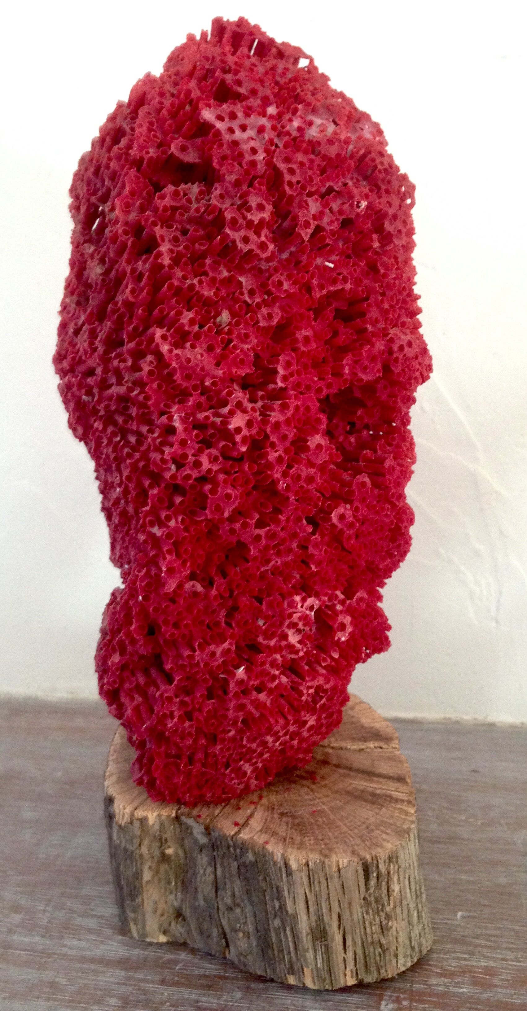 Coral vintage on wooden base