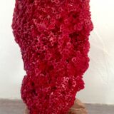 Coral vintage on wooden base