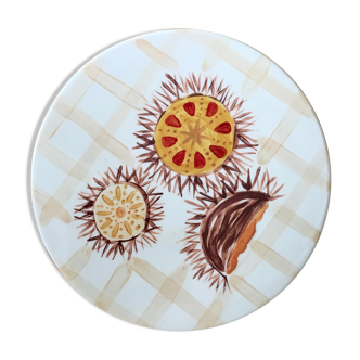 Enamelled ceramic underside Sea urchins