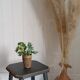 Tabouret / porte plante