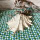Grand coquillage lambis