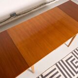 Vintage Scandinavian style dining table, side extensions