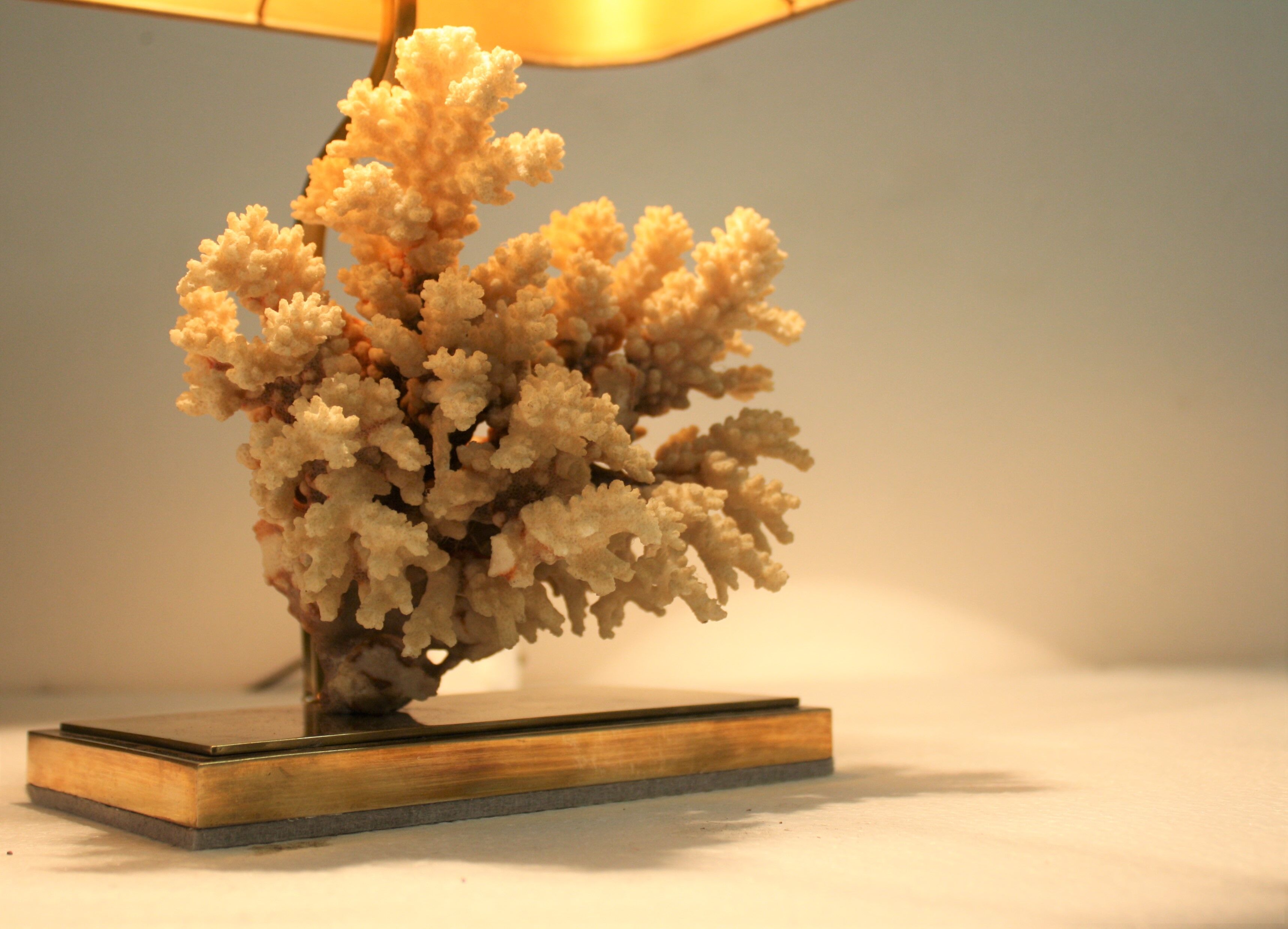 Brass coral table lamp, 1970s