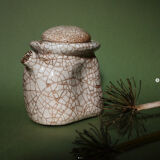 Mushroom teapot