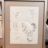 Old Charcoal Drawing Study Sketch Ear Mouth Face 1915 Signed