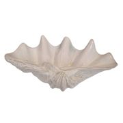 Center of table “Venera” or “Tridacna”, ceramic glass, 70's - Valencia, Spain