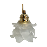Vintage tulip hanging lamp in frosted glass