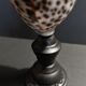 Cabinet of Curiosities shell cypraea tigris on base