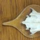 Vintage deer hunting trophy massacre on light varnished wooden shield