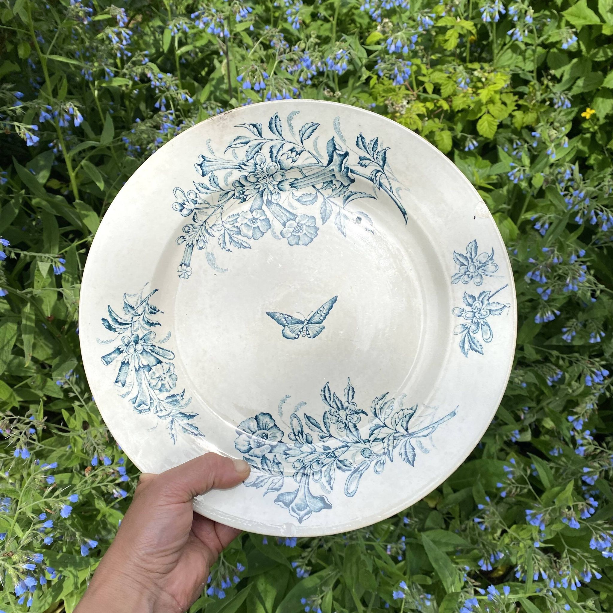 Plat rond terre de fer Badonviller "Jasmin" papillon