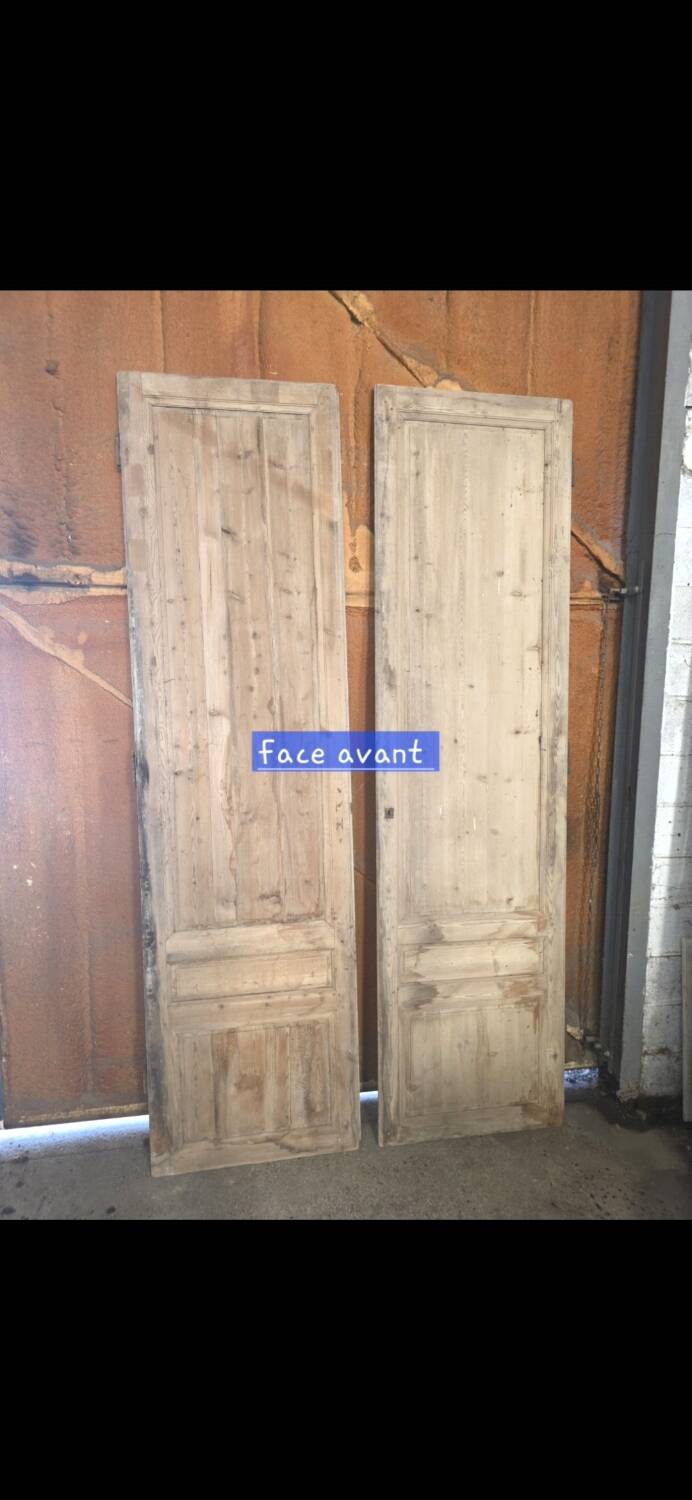 Pair of doors, 19th century