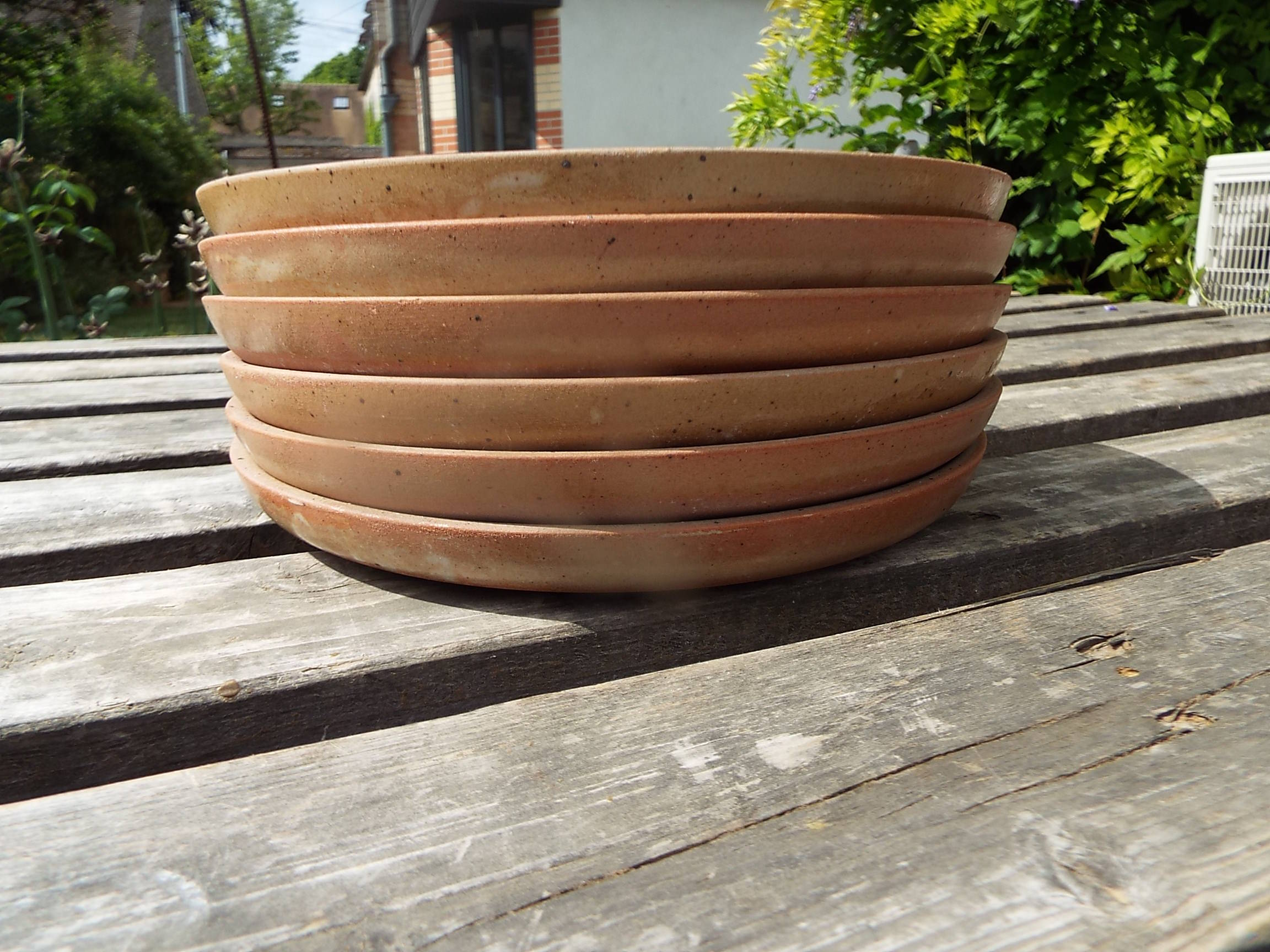 6 flat stoneware plates