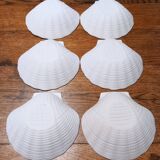 Set of 6 porcelain biscuit scallops