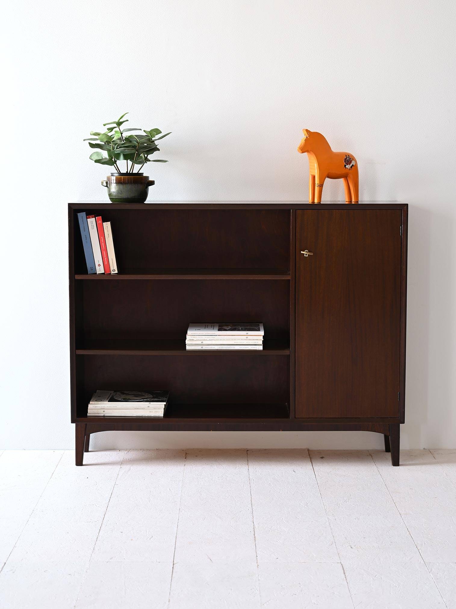 Vintage bookshelf with a door