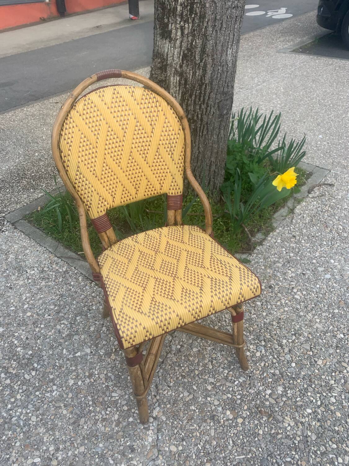 Chaises gatti