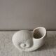 Bernard shell vase