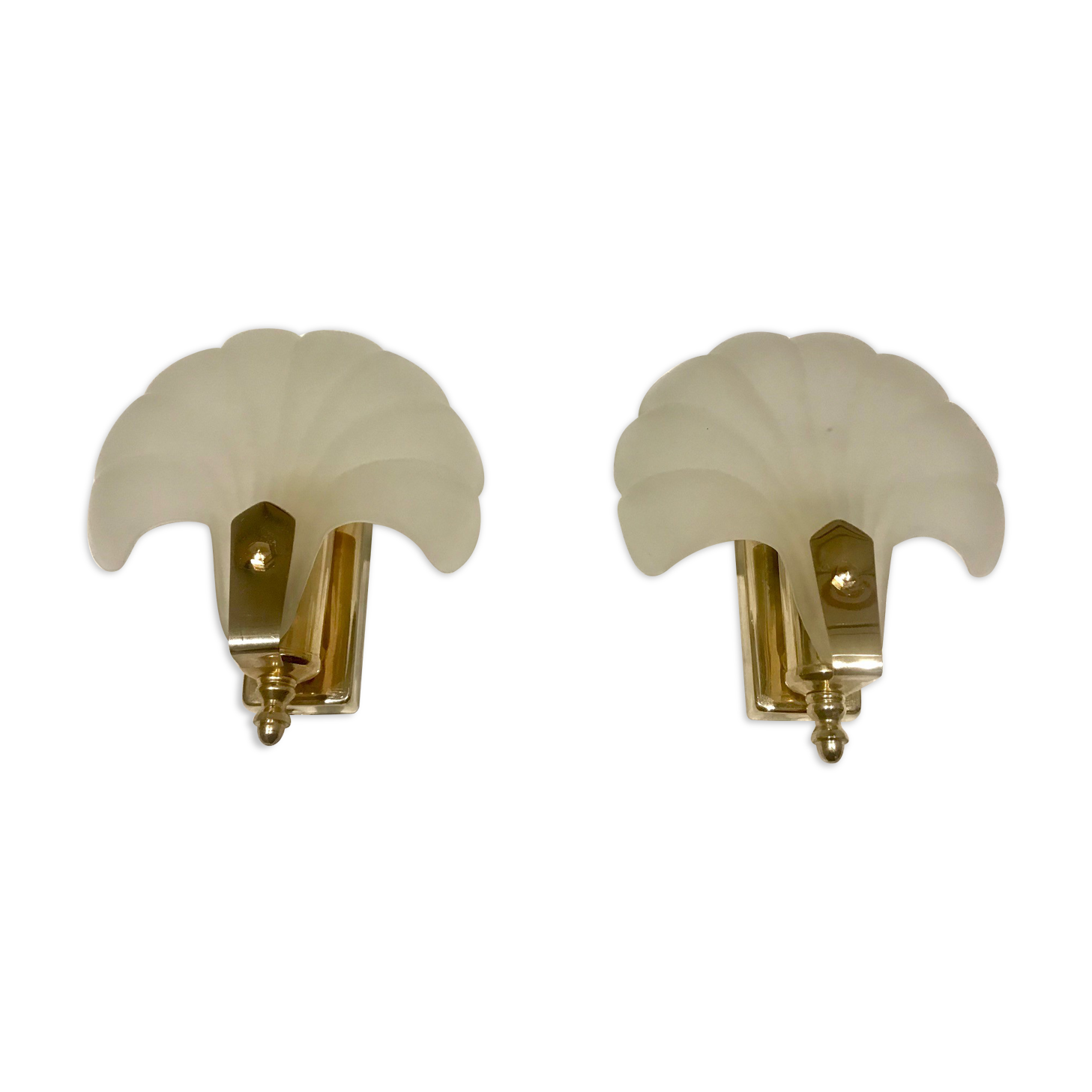 Pair of shell sconces