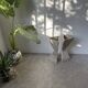 Planters jardinières fibrociment triangulaires