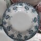 Set of 6 hollow plates Terre de Fer XIXth Saint Amand "Campanule" "Anémone"