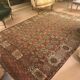 Rare Bukhara carpet