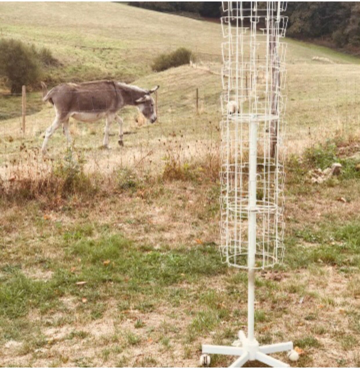 Professional turnstile display for photos or postcards