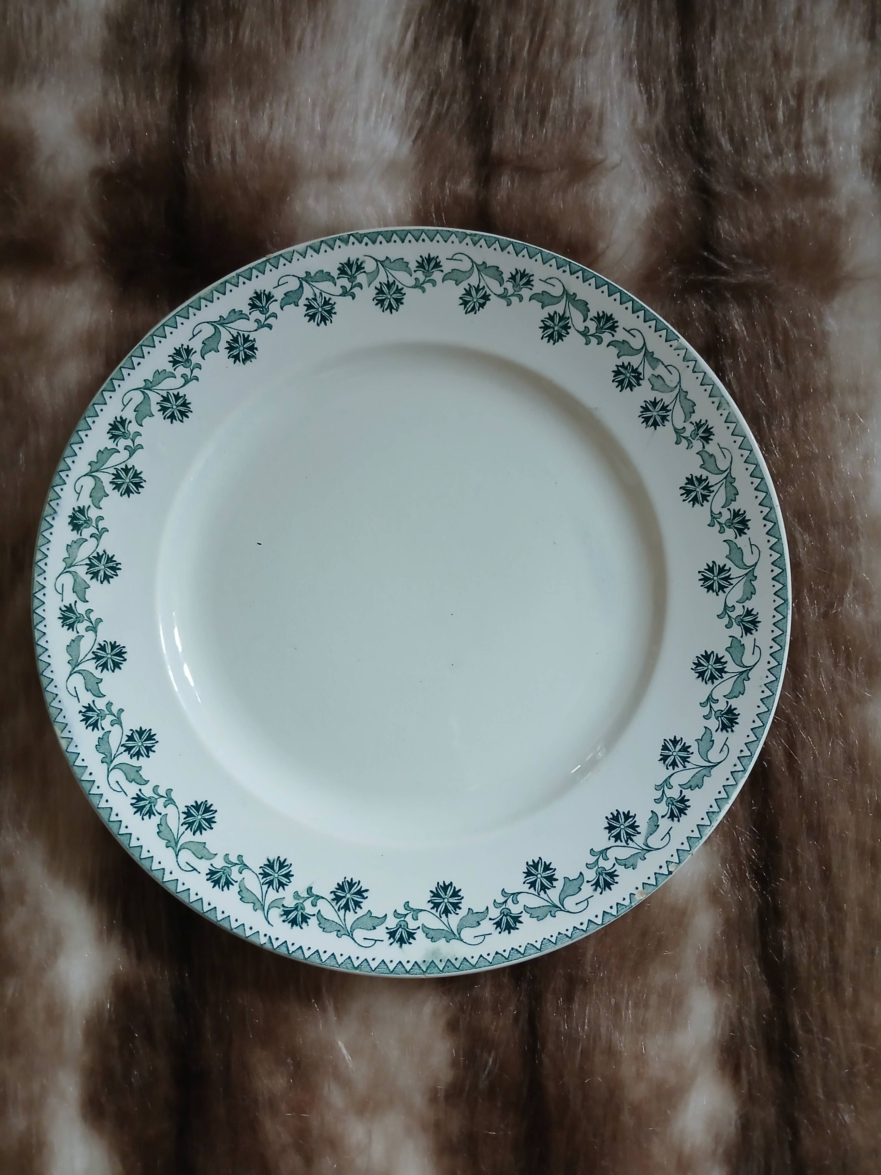10 antique flat plates in ironstone