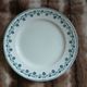 10 antique flat plates in ironstone