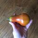4 fruits décoratifs en bois