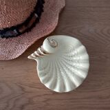 Shell tidy