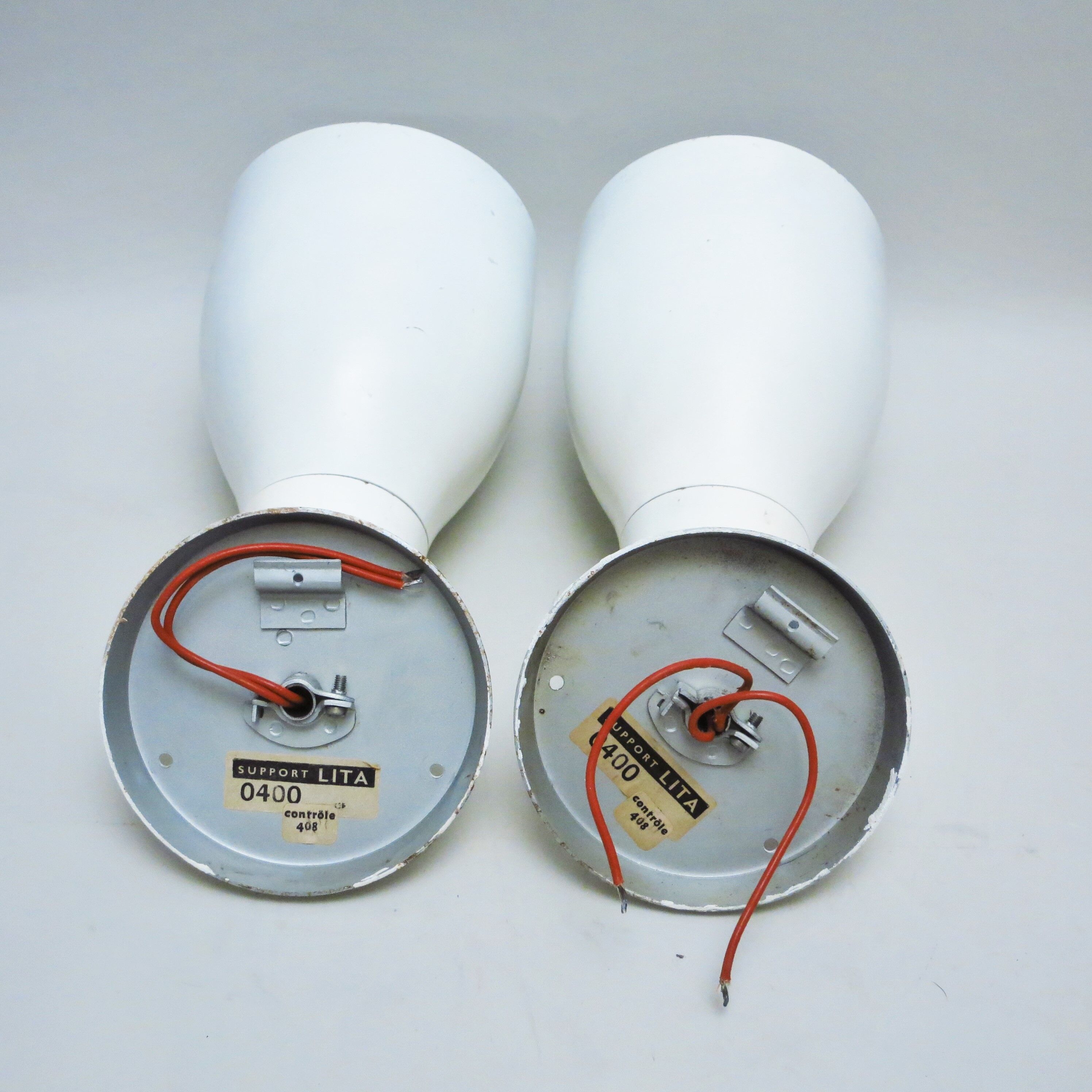 Pair of great white spots Lita