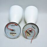 Pair of great white spots Lita