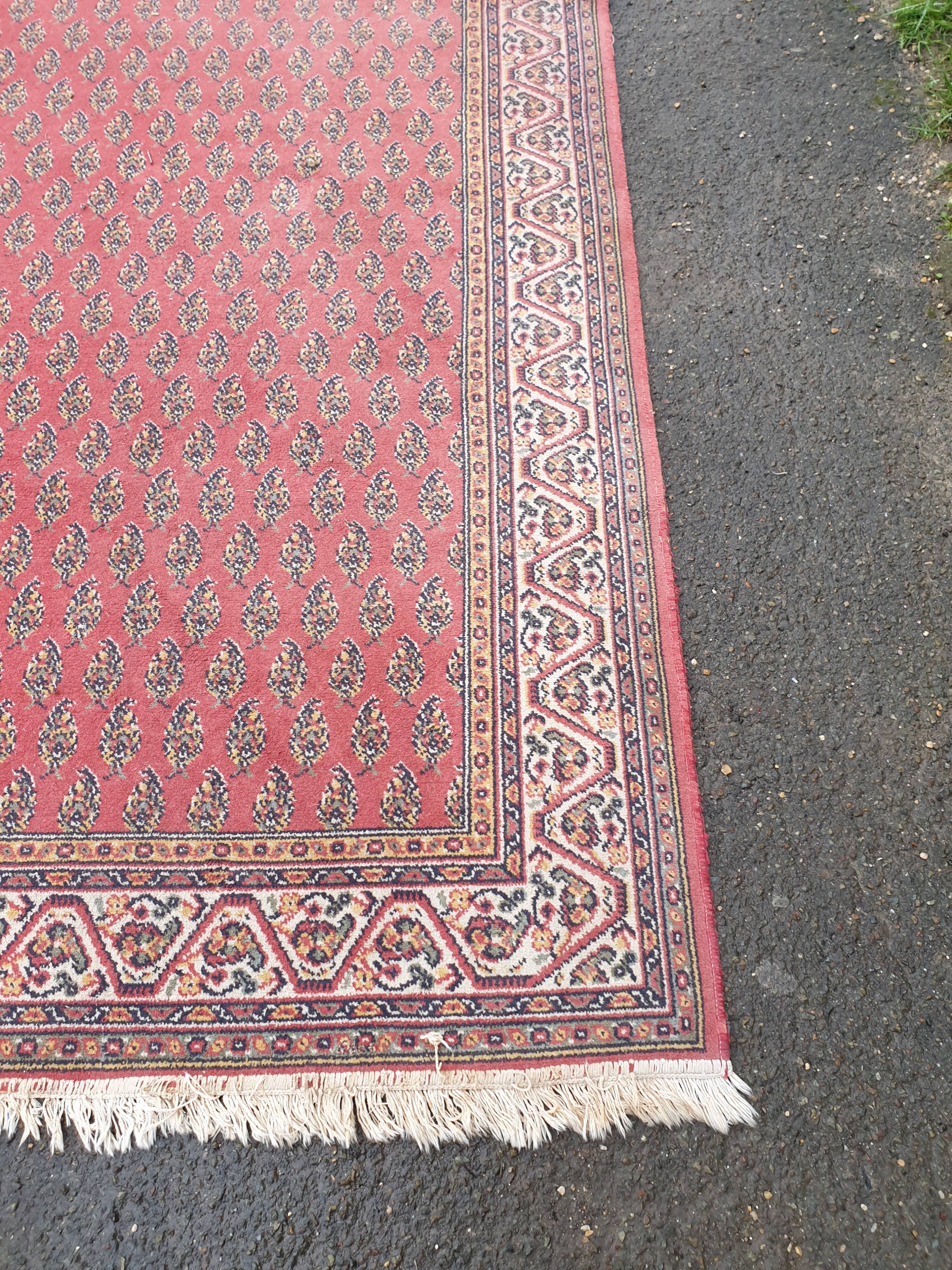 Large oriental wool carpet
